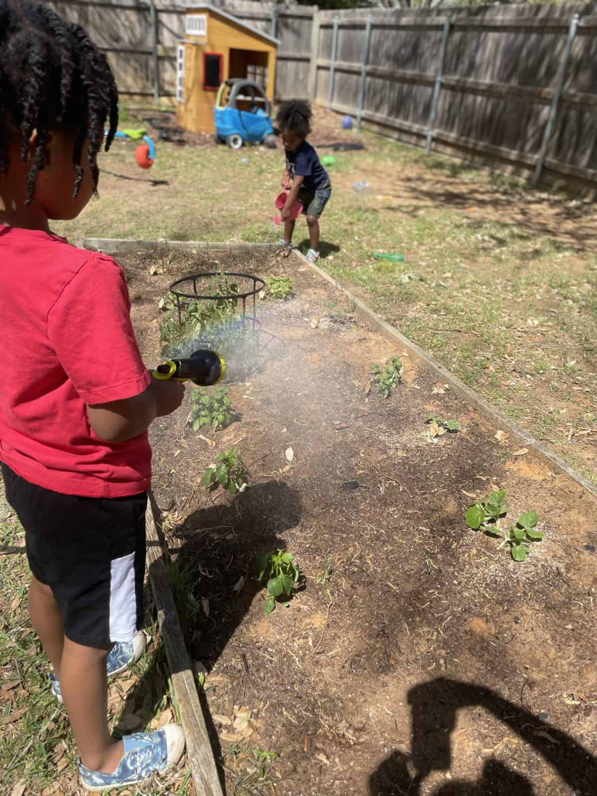 Watering the Garden