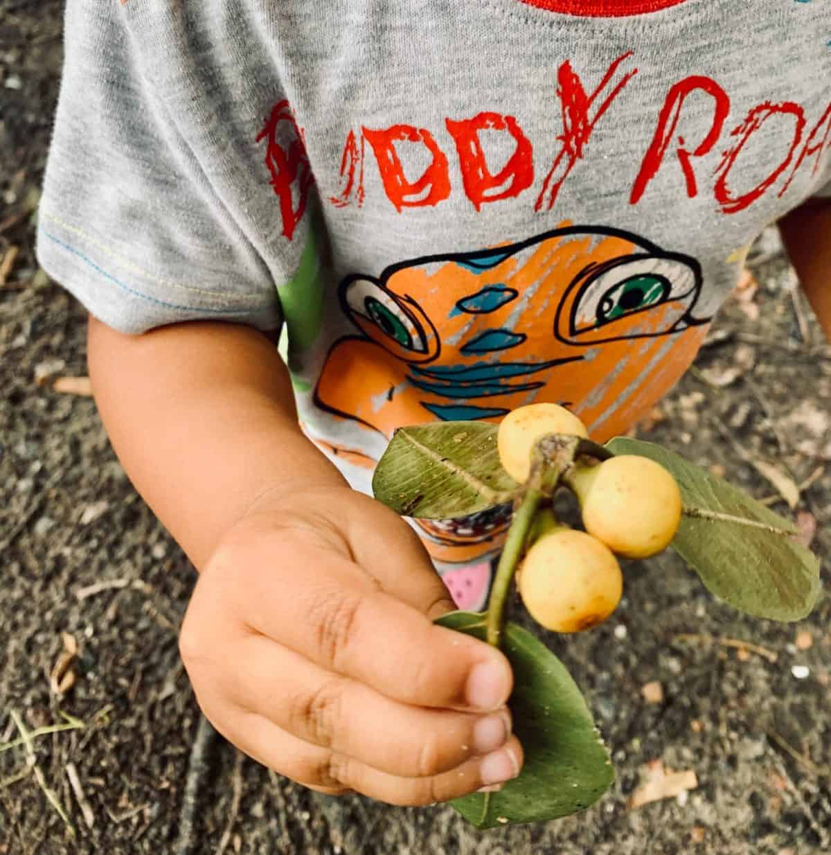 how to plan a neighborhood hike with kids