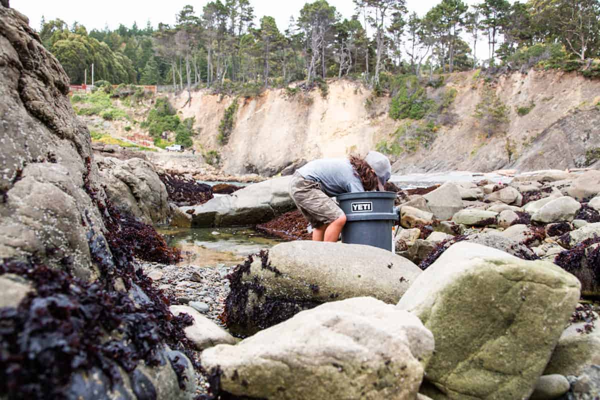 Tidepool safety tips for kids