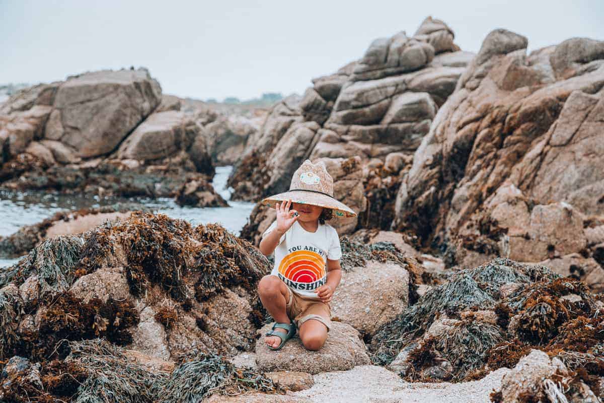 Exploring California coast tidepools with kids