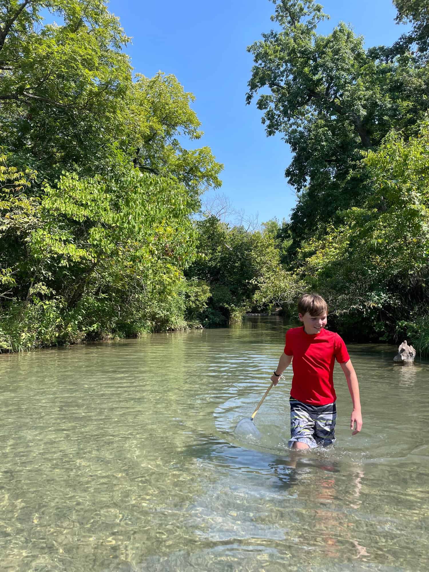 Travertine Creek Chickasaw Country Coleyraeh