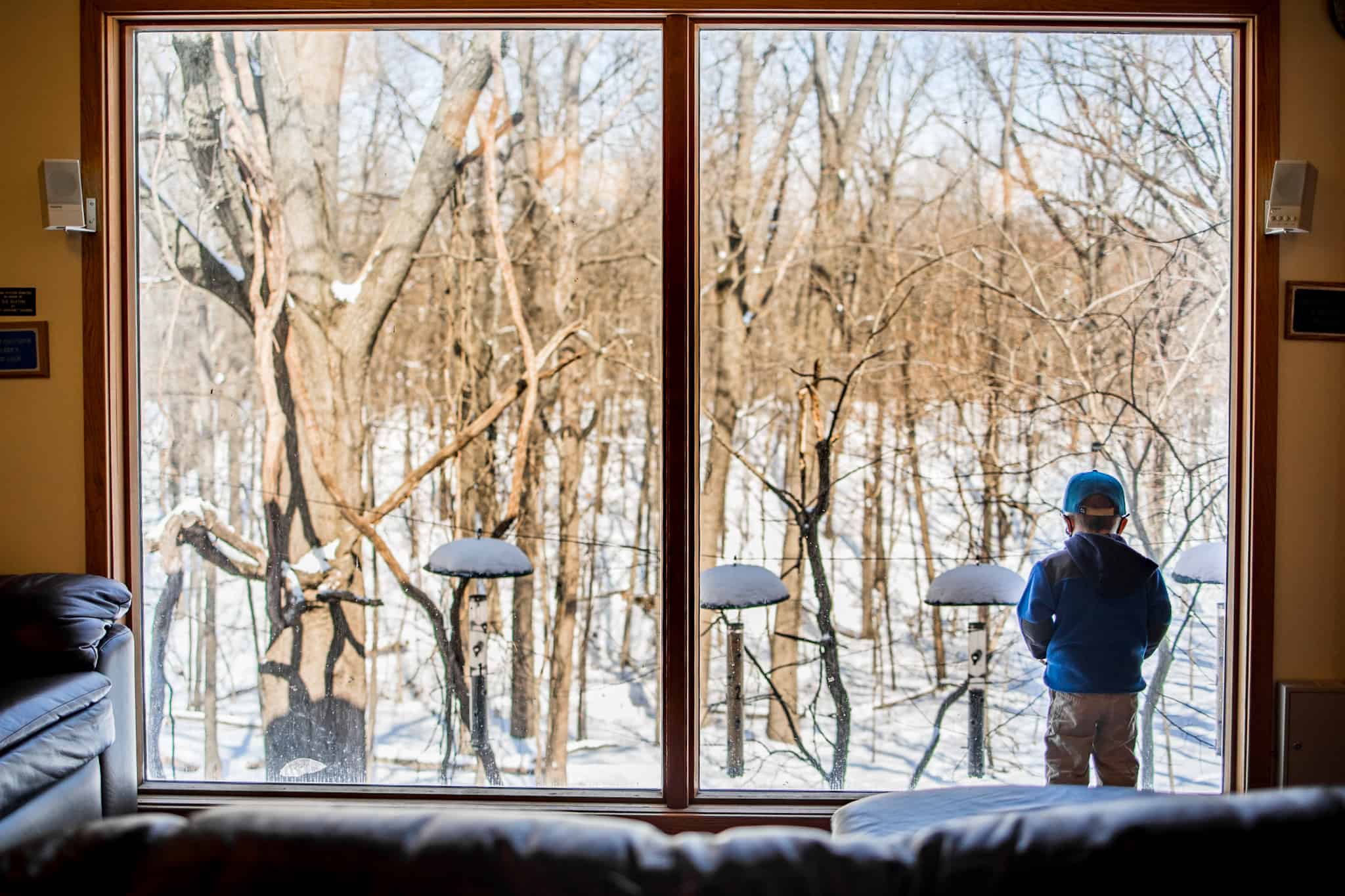 Boy viewing birds out large window 