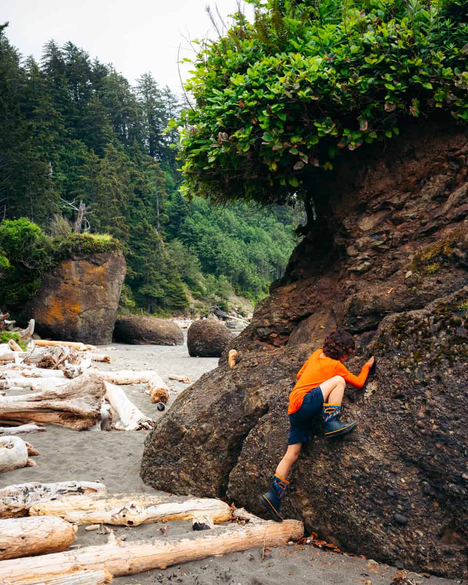 Backpacking on the beach with kids