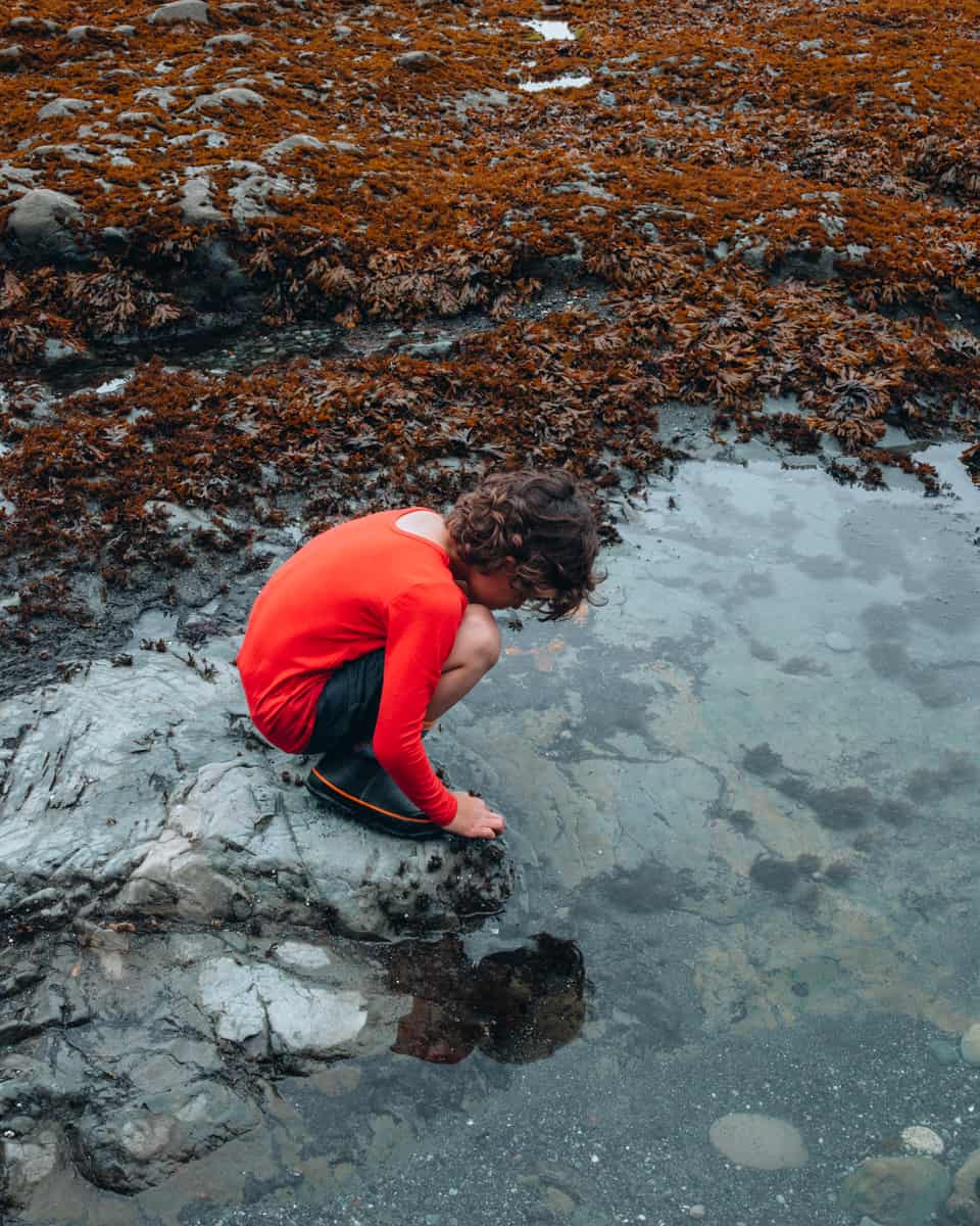 Tide Pools on the Beach