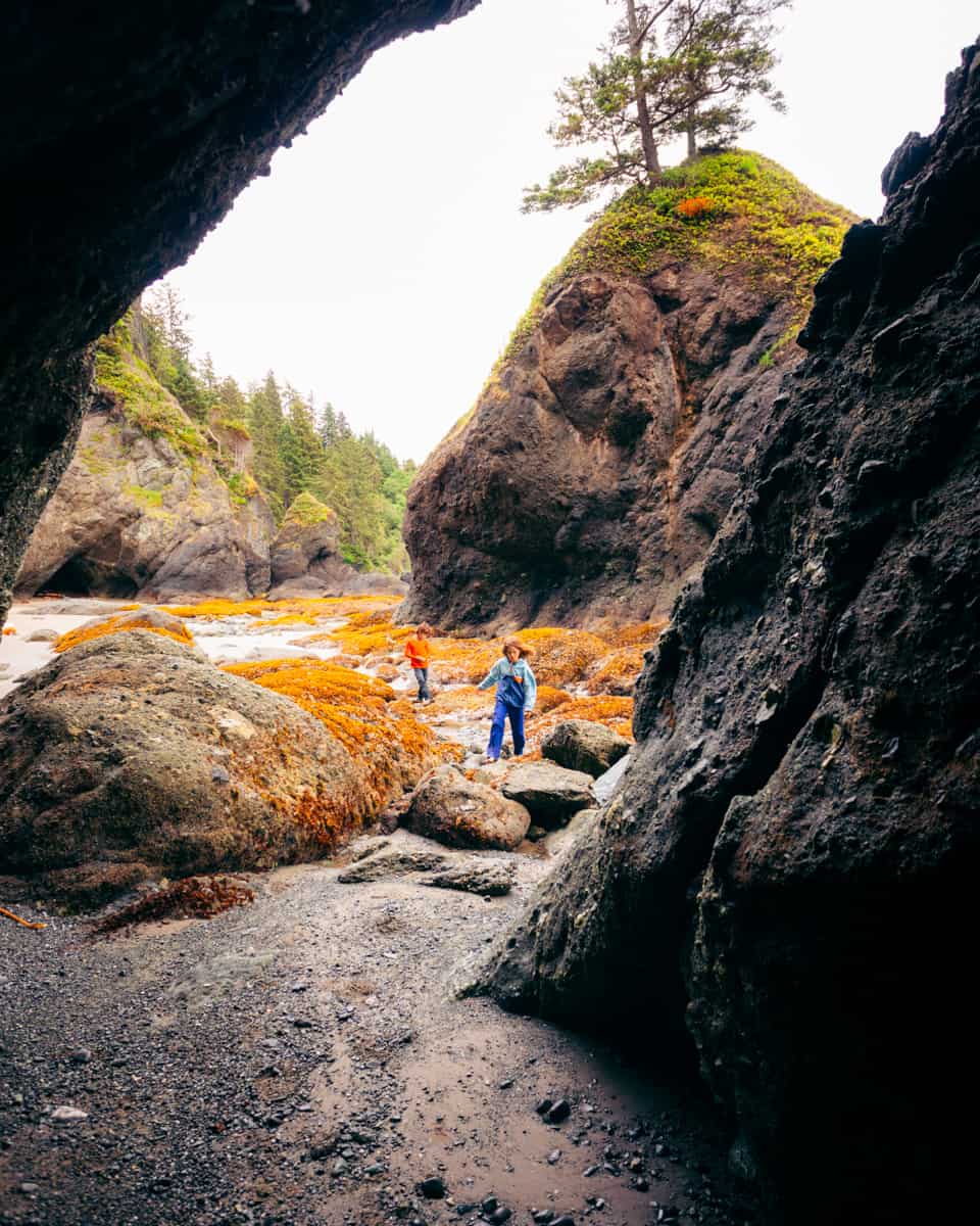 Backpacking on the beach with kids