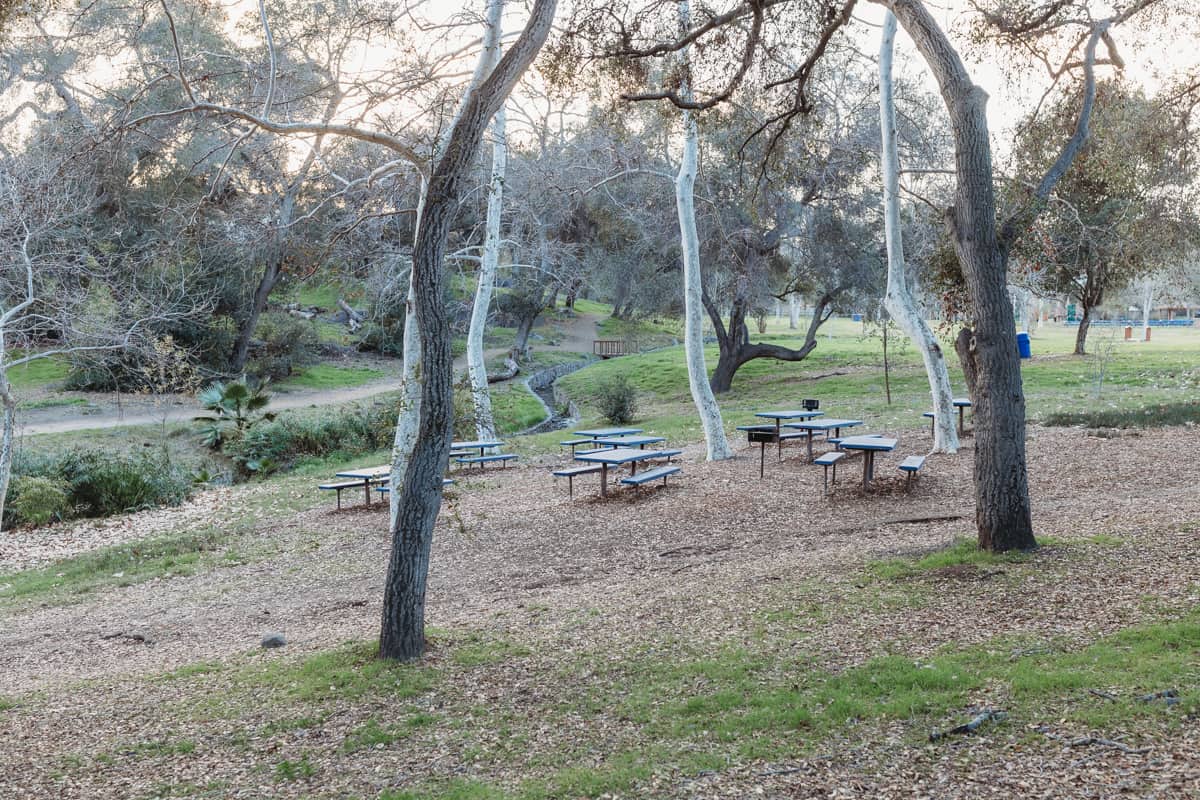 Felicita County Park - best county parks in San Diego