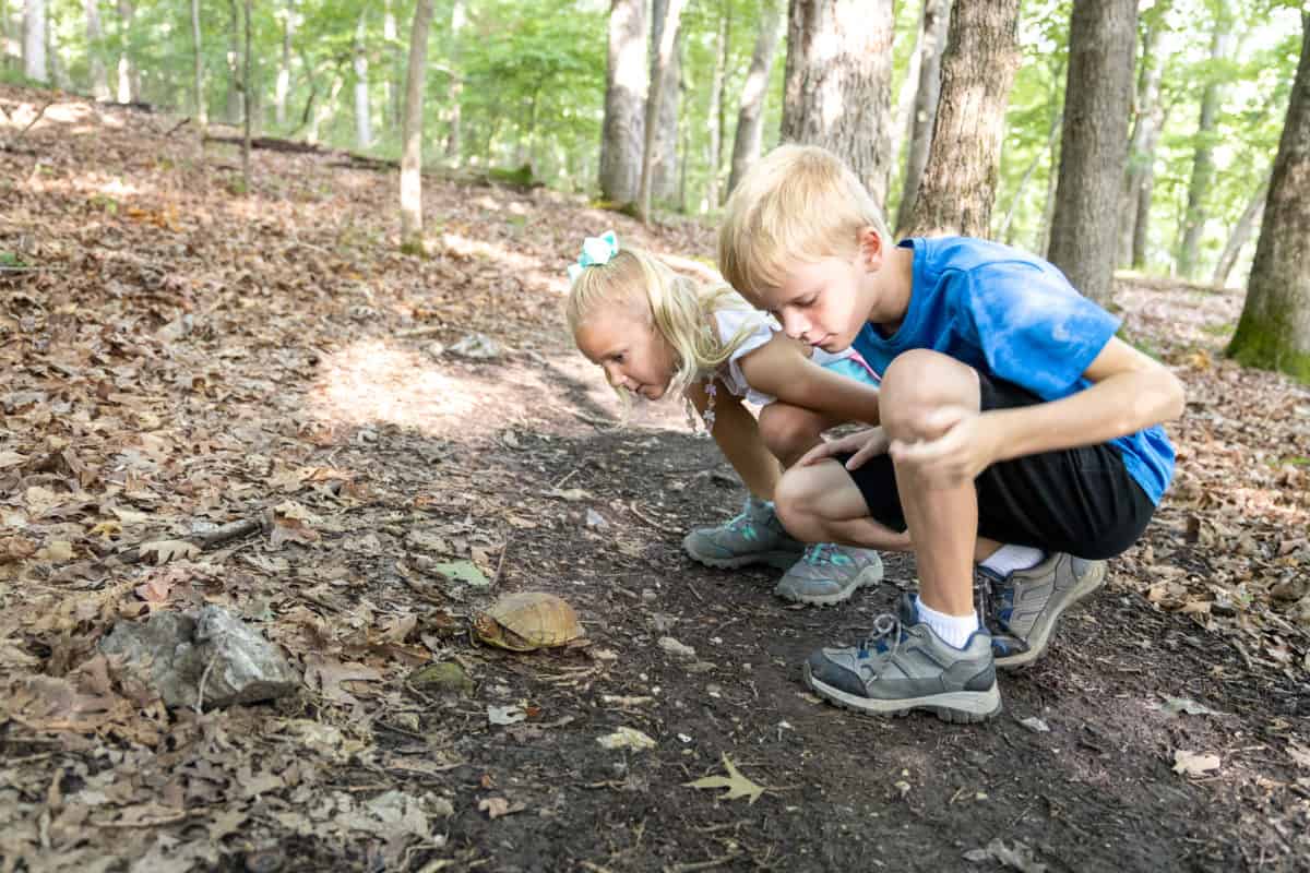 deer stag kids hiking boots