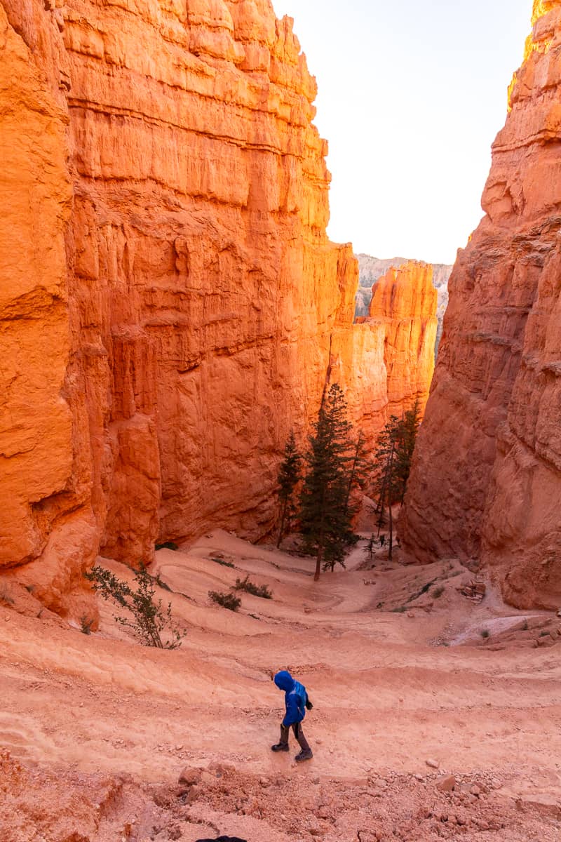 Navajo Loop Trail with kids