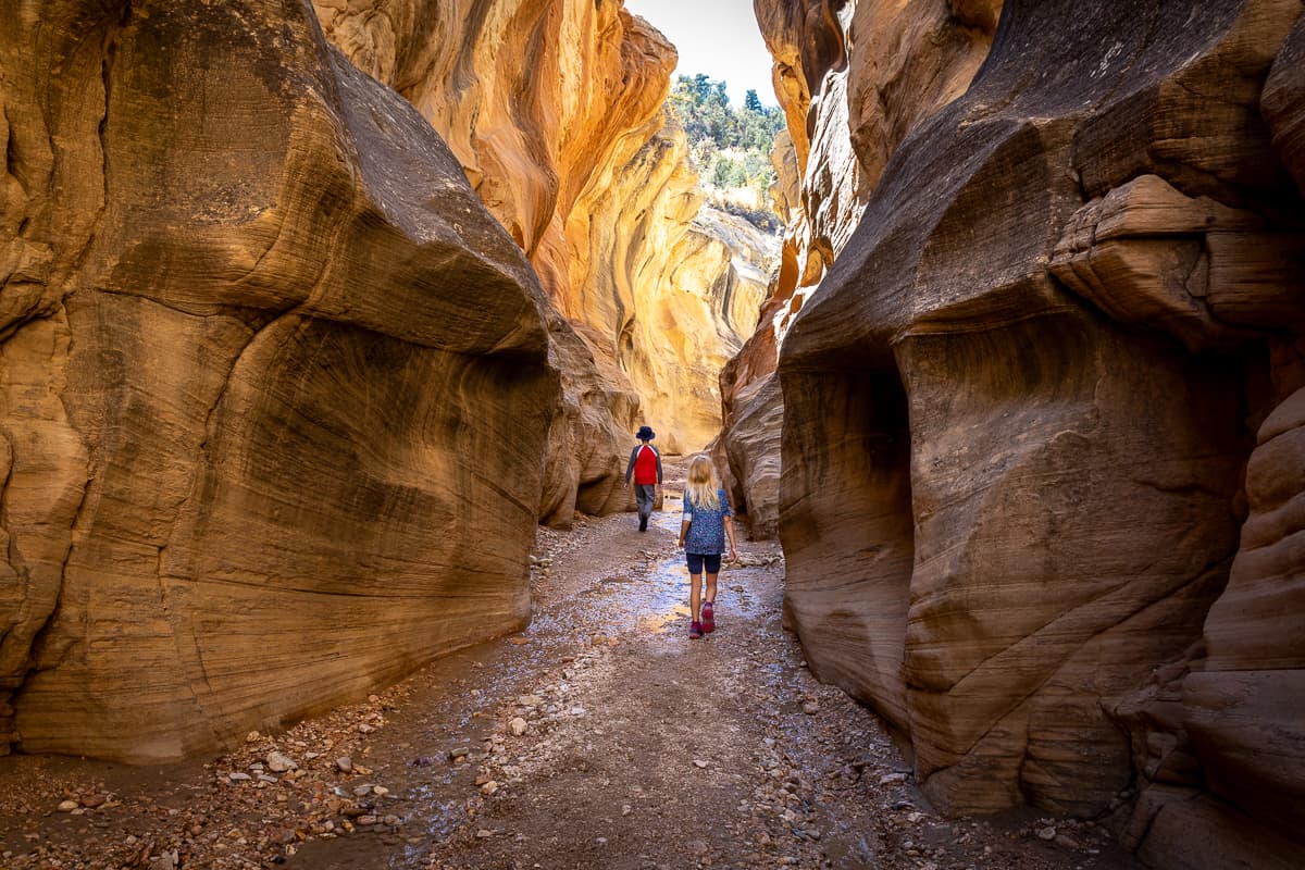 Willis Creek Slot Canyon