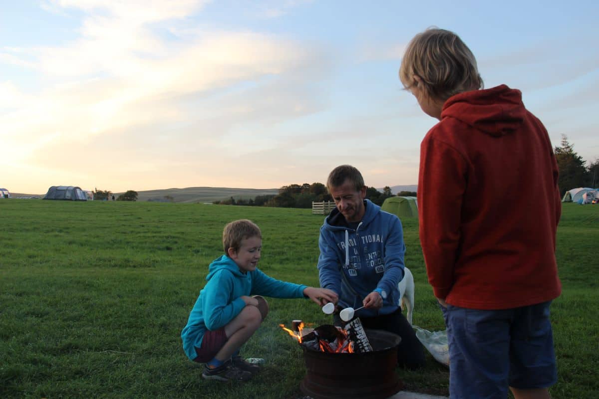 toasting marshmallows 