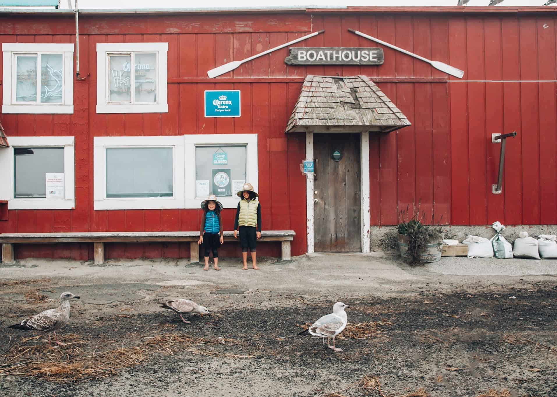 How to catch crabs for dinner - California Dungeness crab