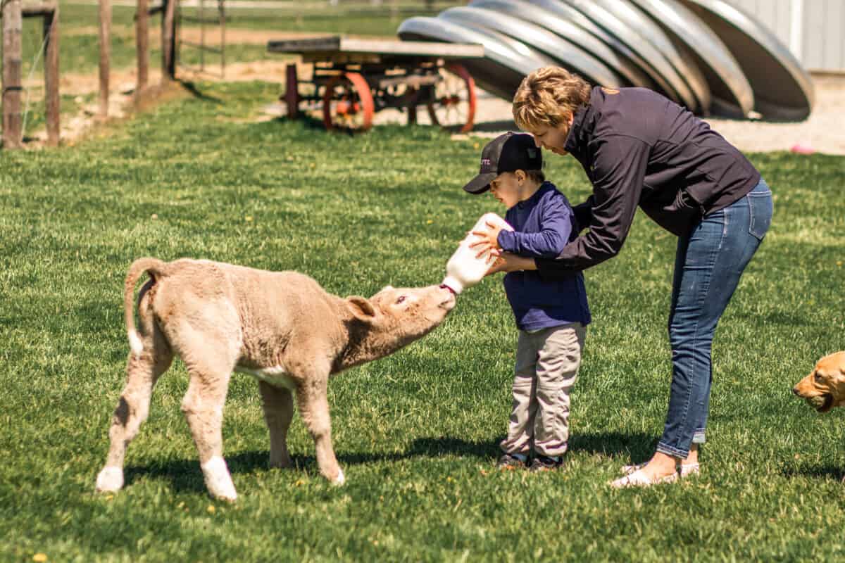 raising animals and training animals build confidence in kids