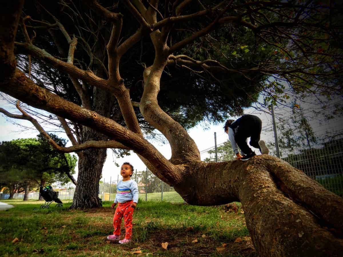 exploring your neighborhood on a hike with the kids