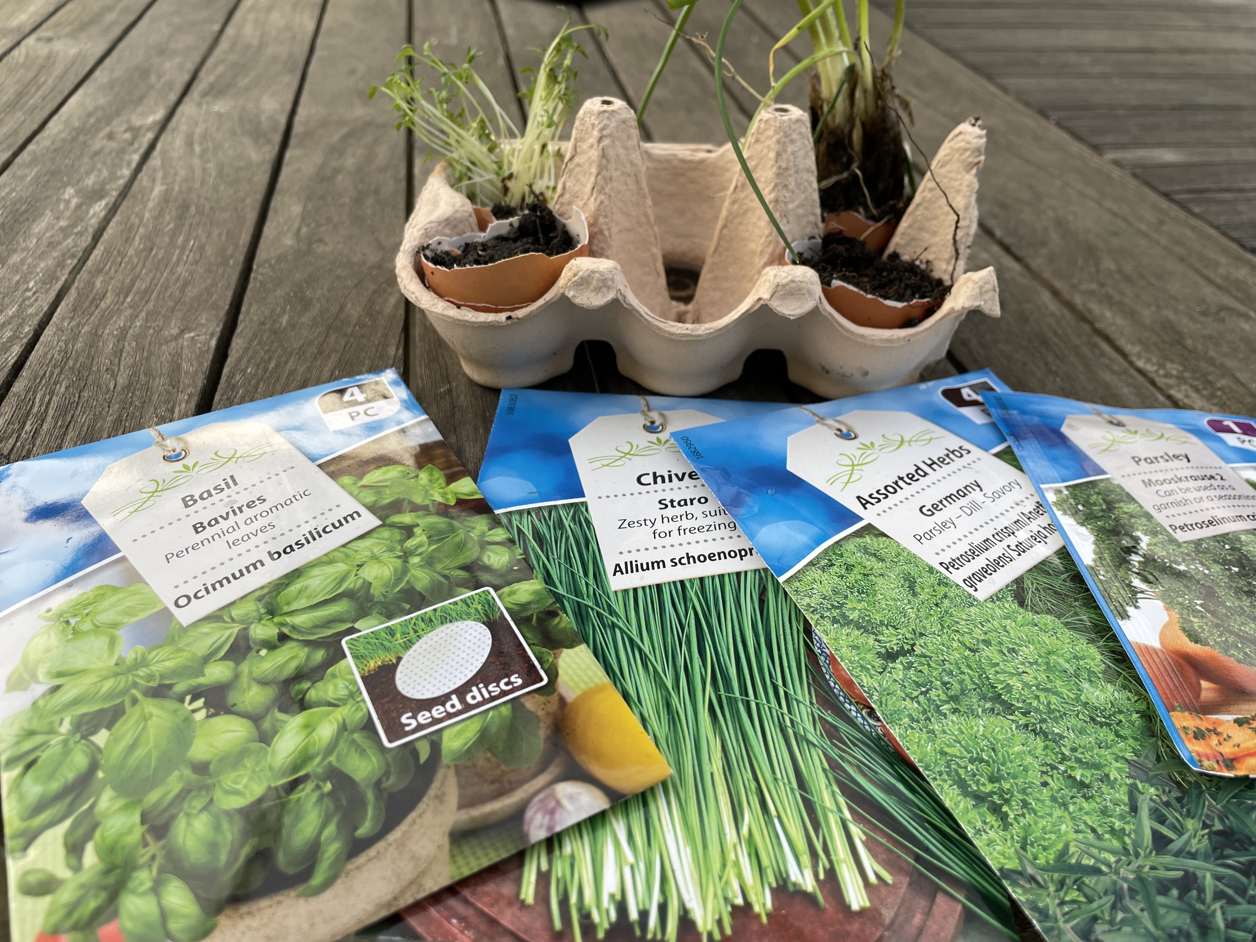 Egg Shell Herb Garden