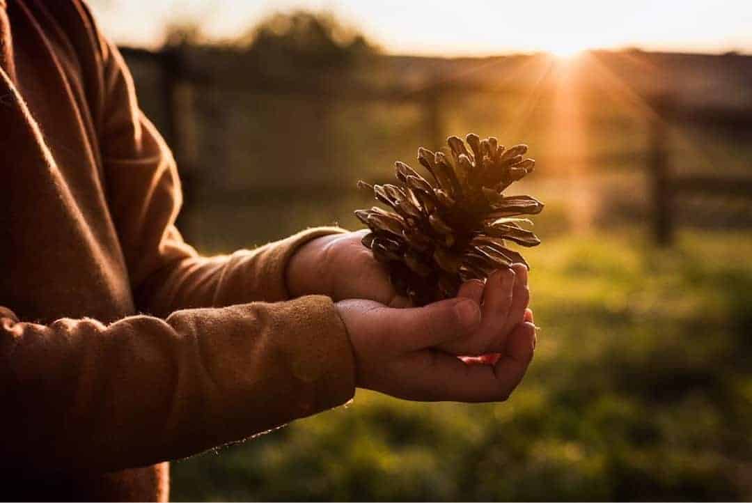 fall outdoor activities & nature crafts for kids