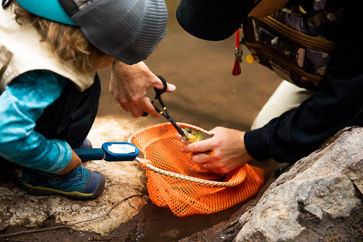 Removing the hook with use of fishing pliers - fly fishing basics