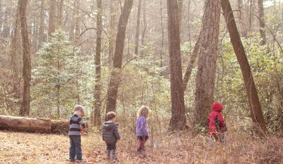 Forest group kids