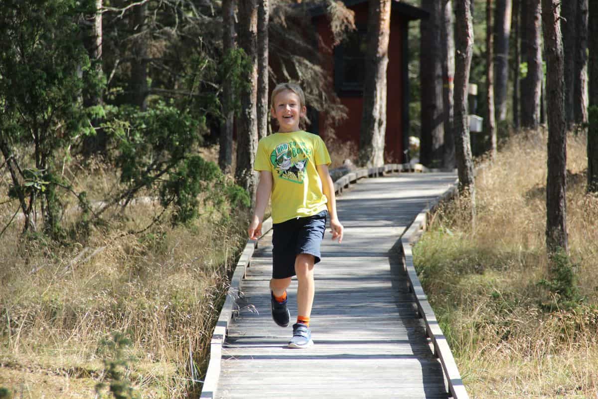 a boy walking in the woods