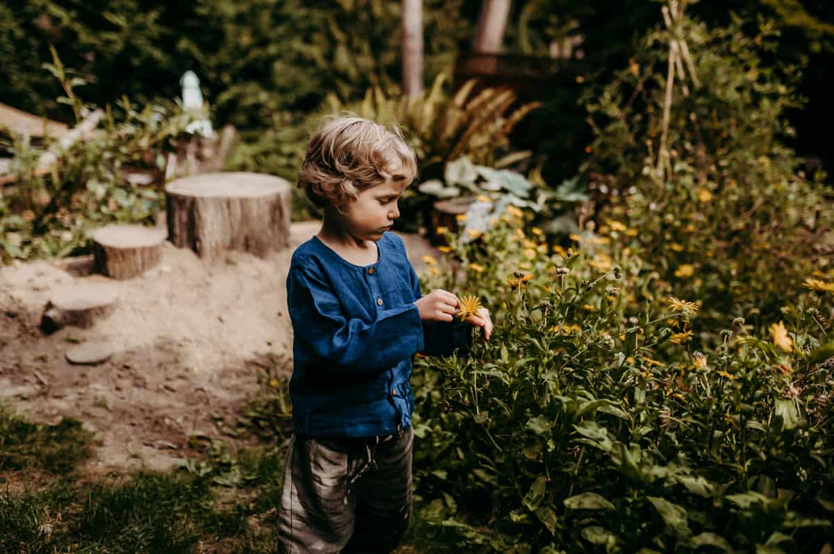 This calendula patch is perfect for creating soothing ointments and yields ample ingredients for kids' potion making.