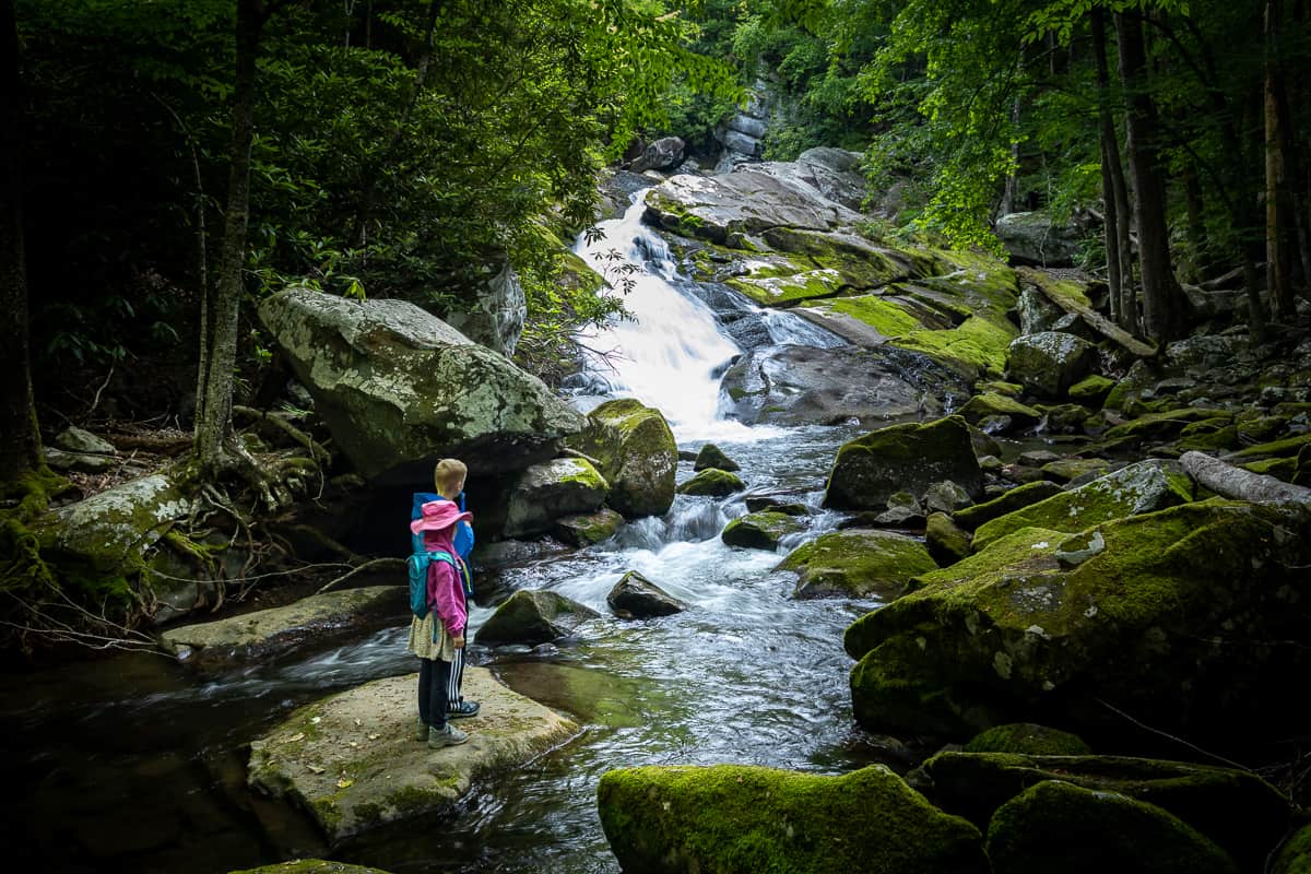 Exploring Great Smoky Mountains with kids