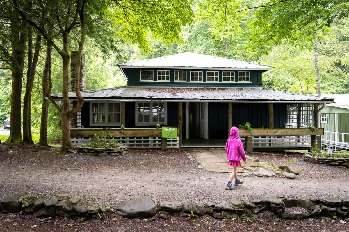 Exploring Great Smoky Mountains Daisytown