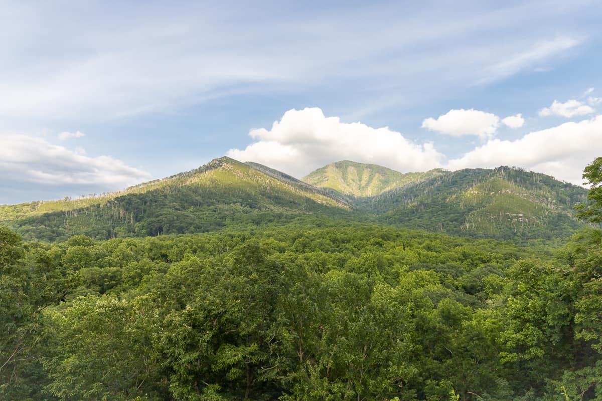 Newfound Gap Road