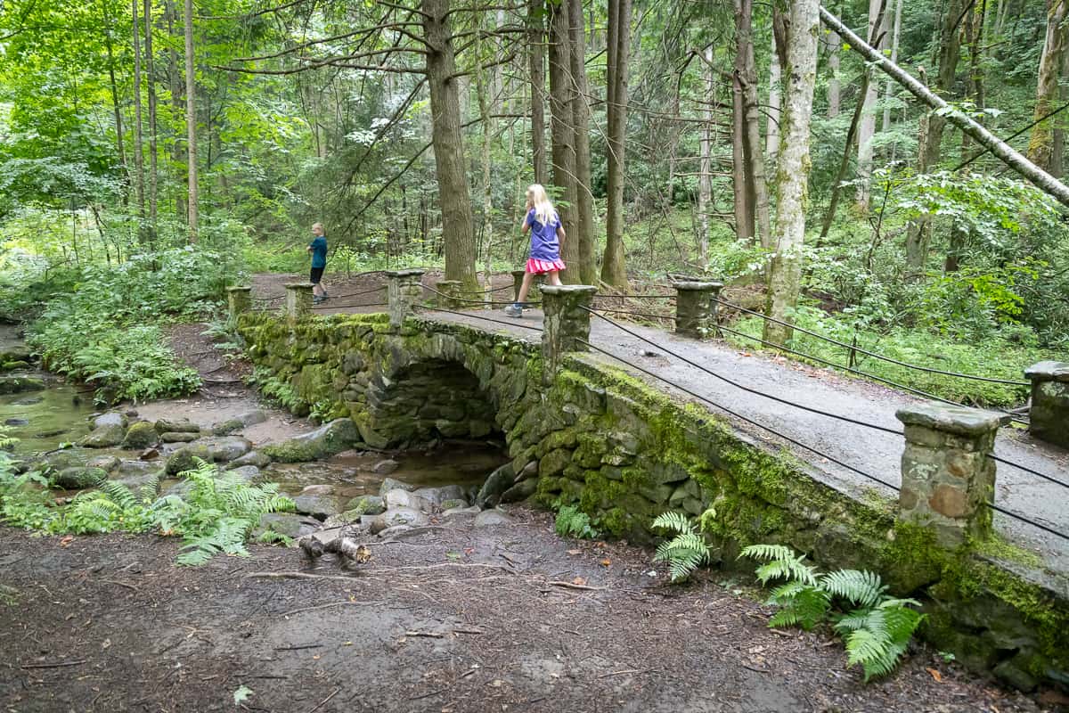 Exploring Great Smoky Mountains with kids