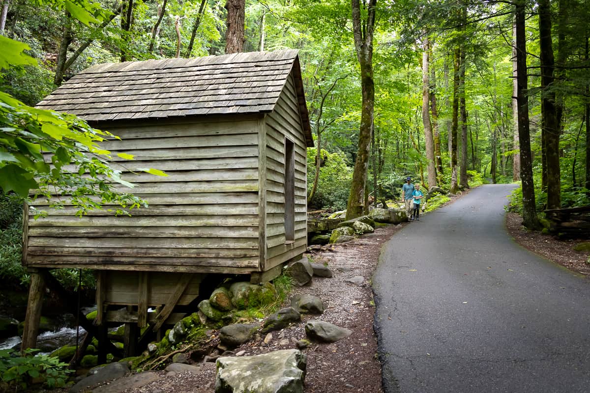 Roaring Fork Motor Trail