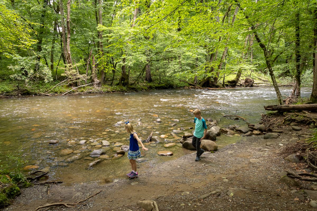 Exploring Great Smoky Mountains with kids