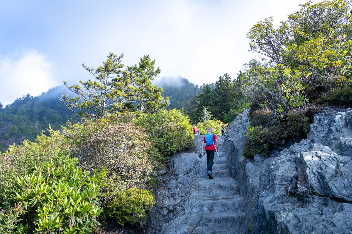 Exploring Great Smoky Mountains with kids Alum Cave Bluffs