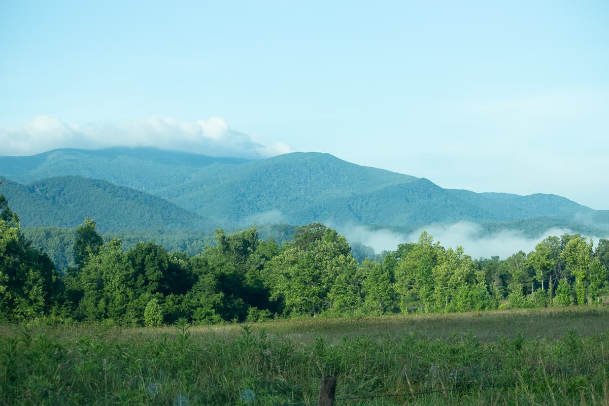 Cade's Cove