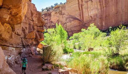 Hickman Bridge Trail, Capitol Reef National Park, June 2020