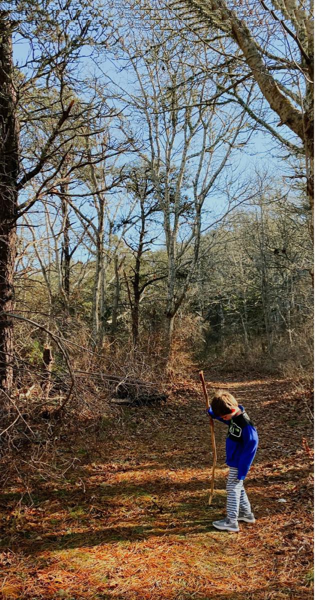 child with a hiking stick on a trail