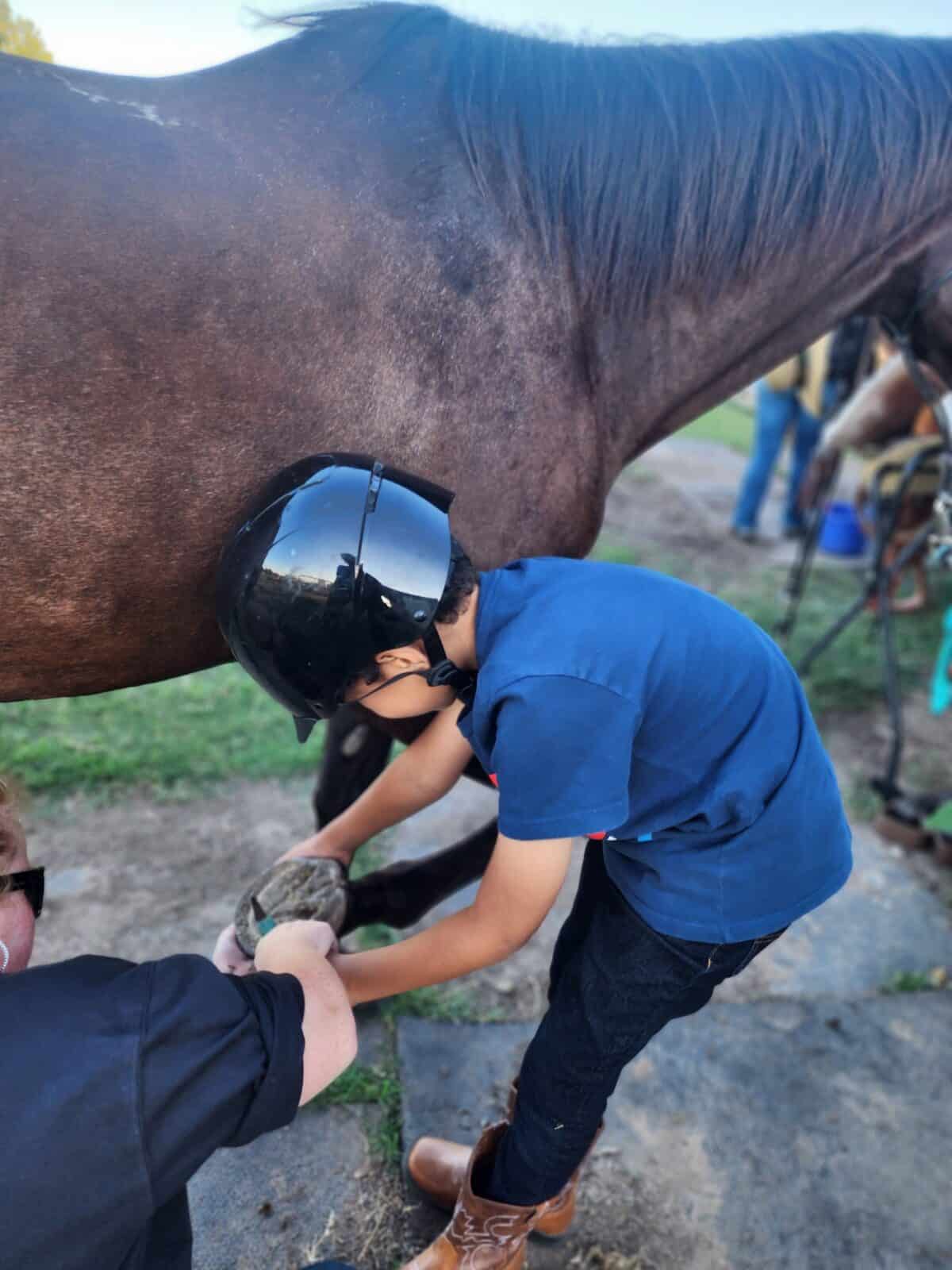 what you need to know about horseback riding lessons for kids