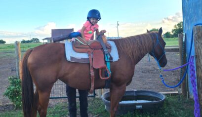 A girl mounting a horse