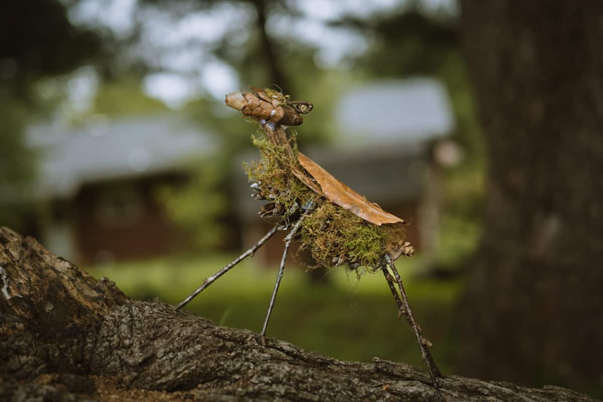 Crafting nature critters with kids