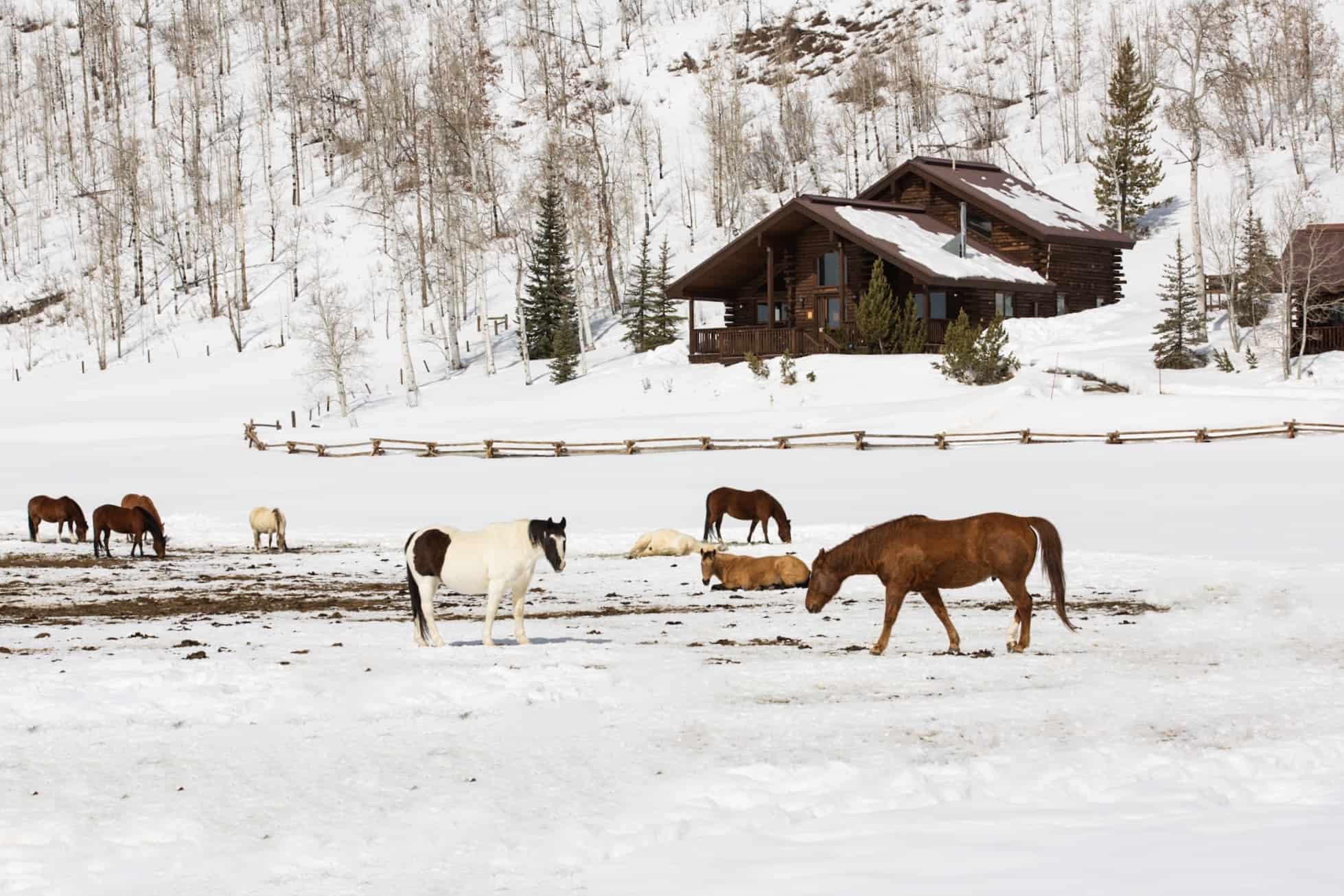 Vista Verde - Luxury Dude Ranch 