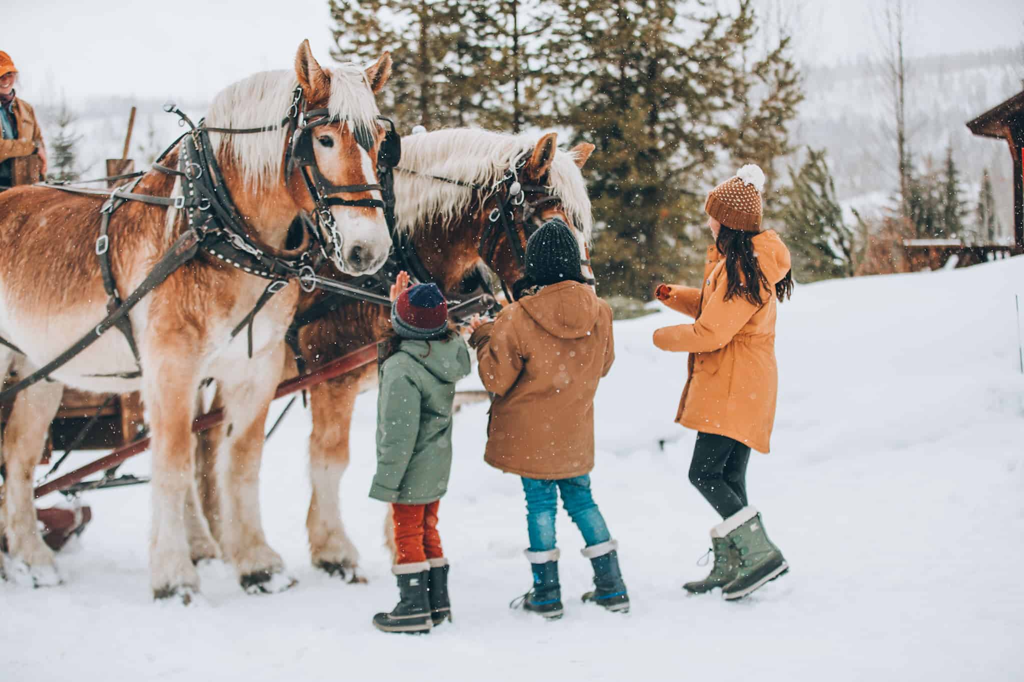 Vista Verde - Luxury All-Inclusive Dude Ranch for Families in Colorado