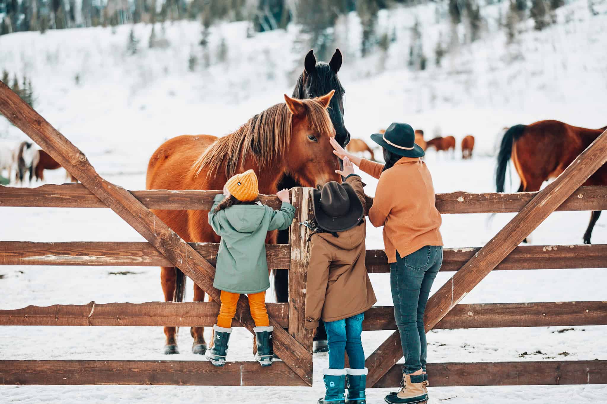 all-inclusive dude ranch for the family - colorado