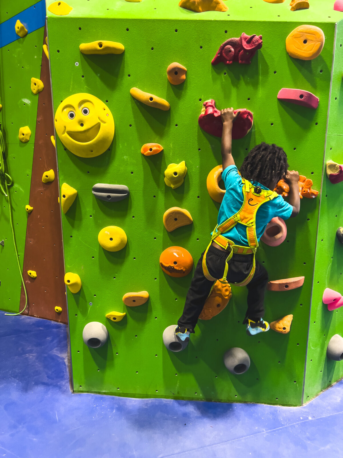 Southern Idaho Adventure - Indoor rock climbing 