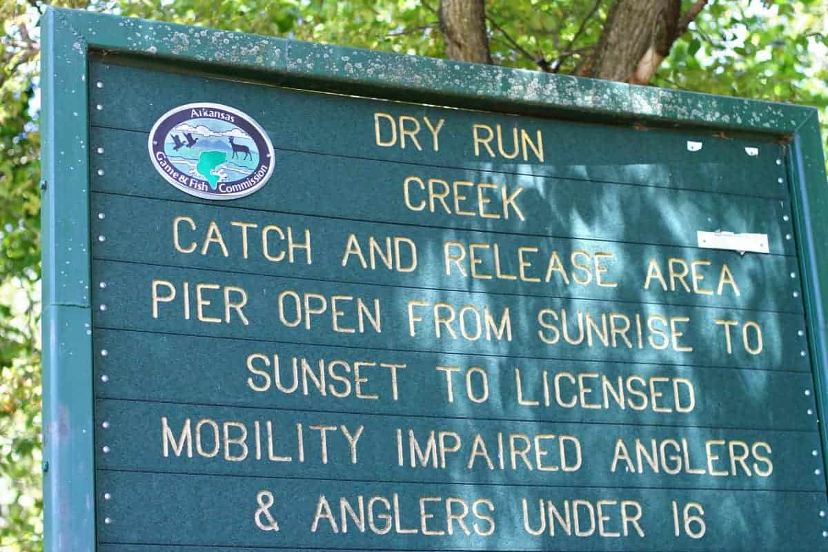 fly fishing dry run creek arkansas with kids