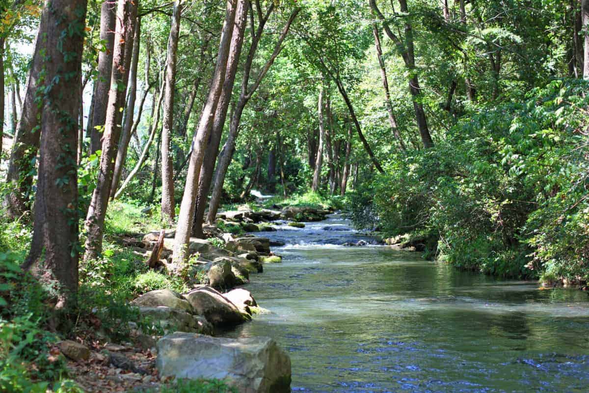 fly fishing dry run creek arkansas with kids