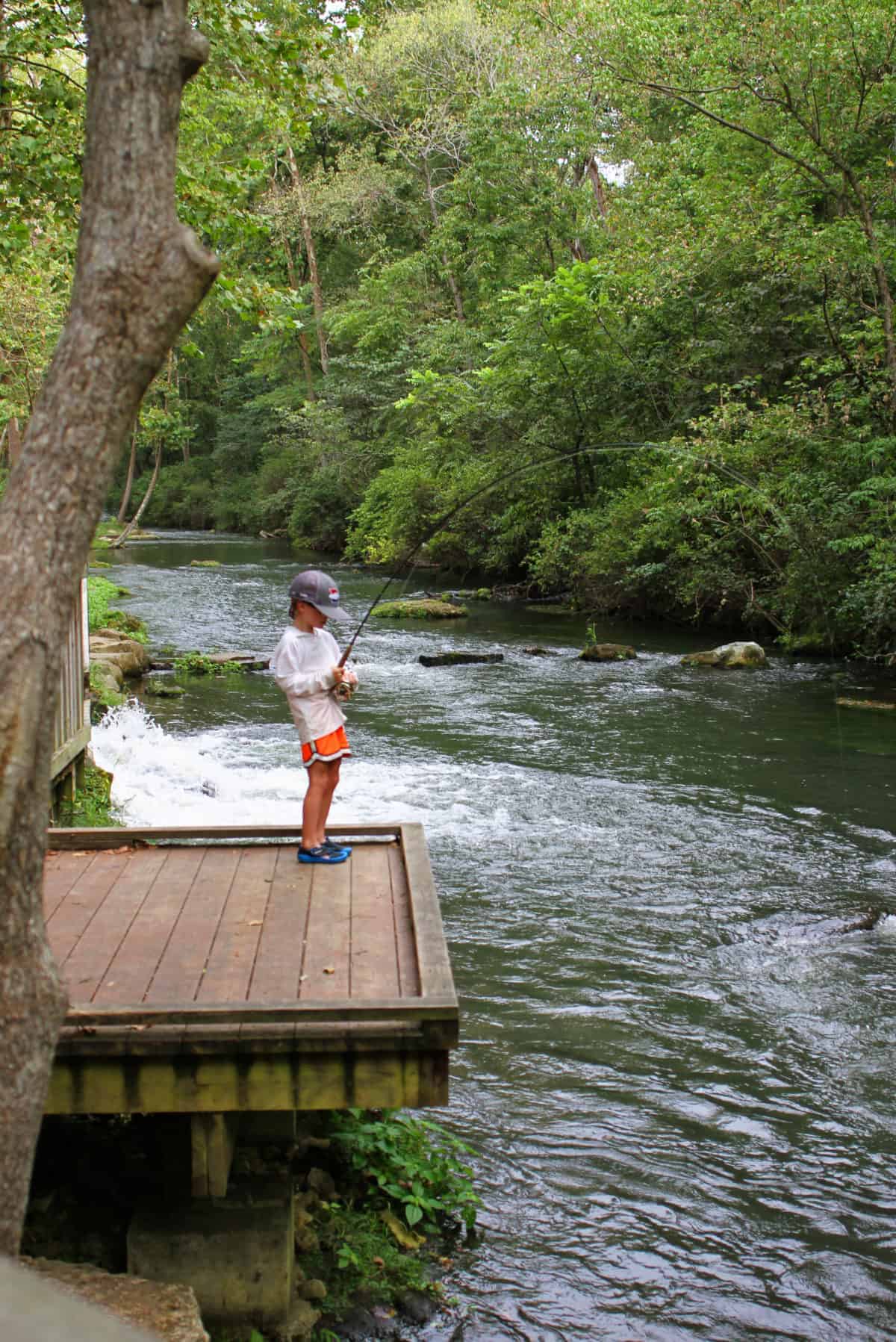 fly fishing dry run creek arkansas with kids