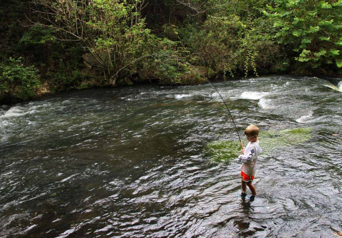 fly fishing dry run creek arkansas with kids