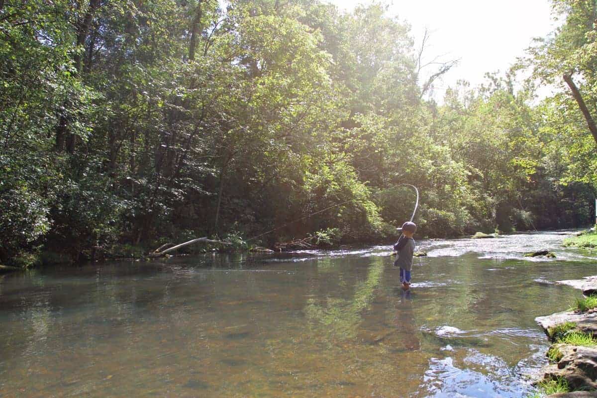 fly fishing dry run creek arkansas with kids