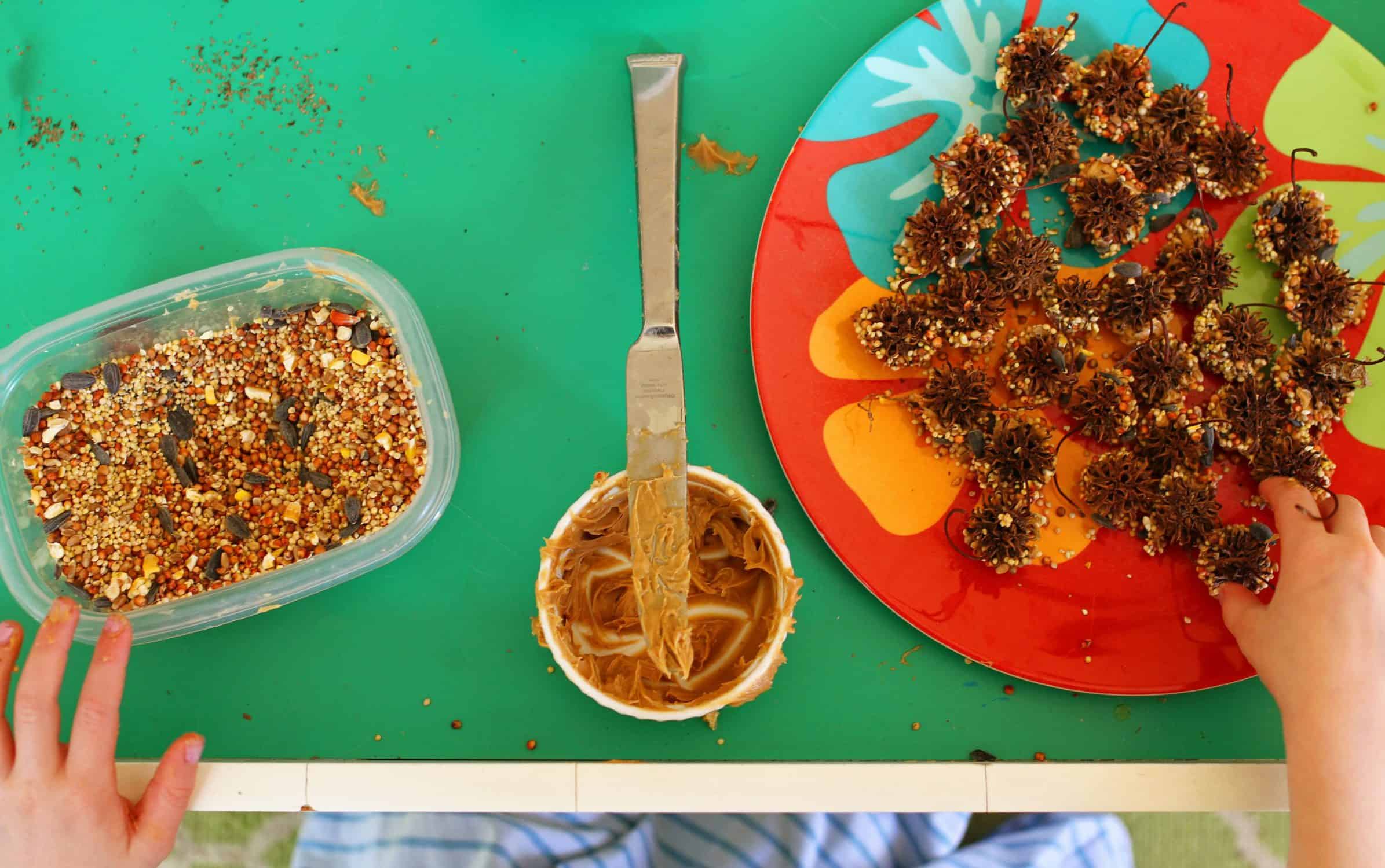 Indoor Snow Day Activities - making simple bird feeders