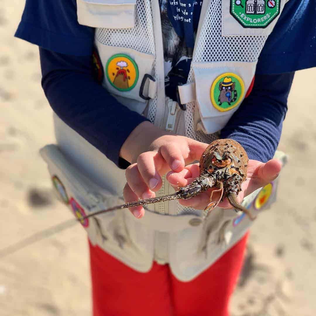 Teaching kids about marine sciences and physics through tide pooling 