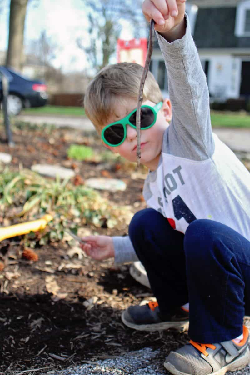 Digging for Worms