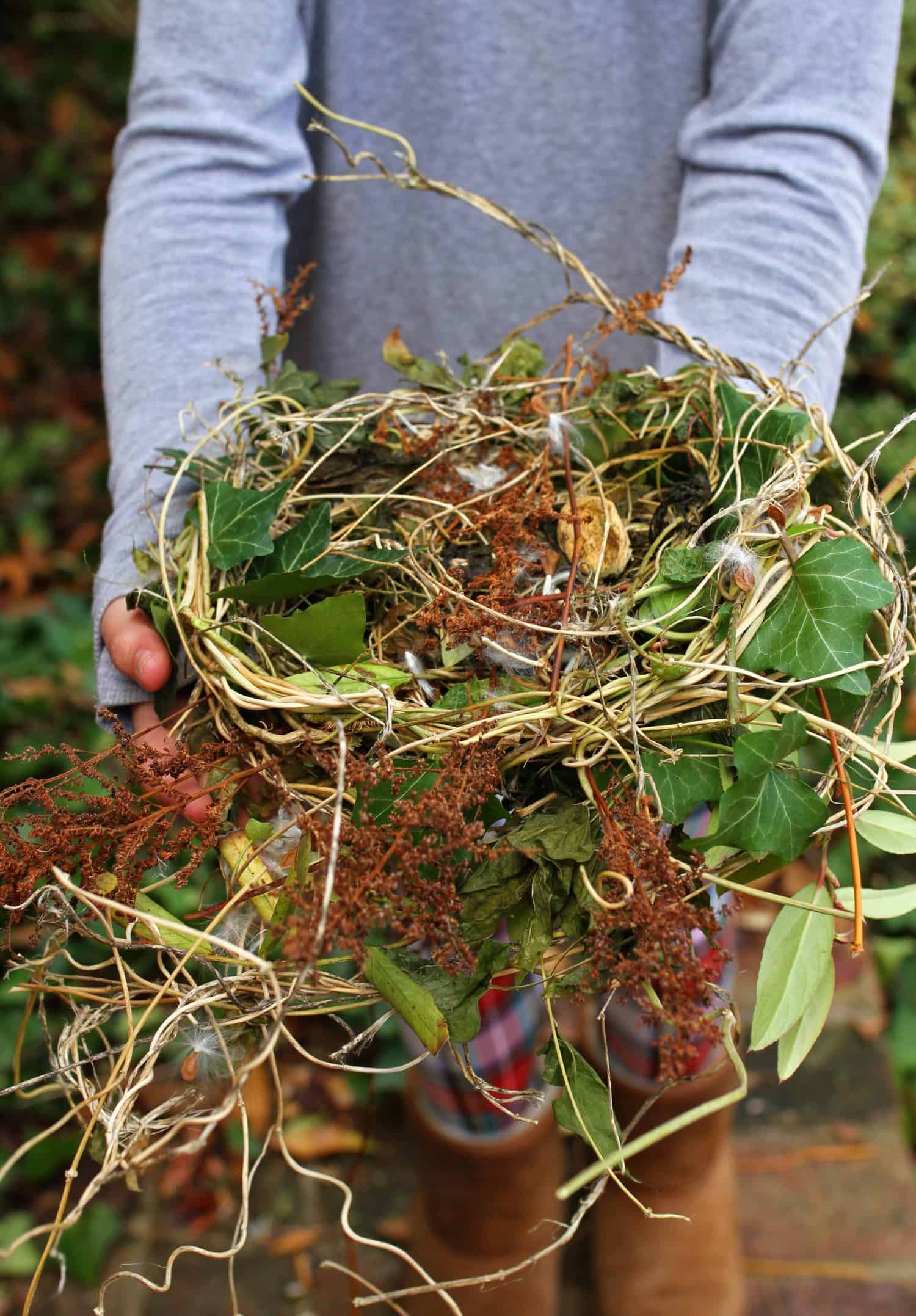 Nature-inspired STEAM activities for kids - Engineering a bird's nest