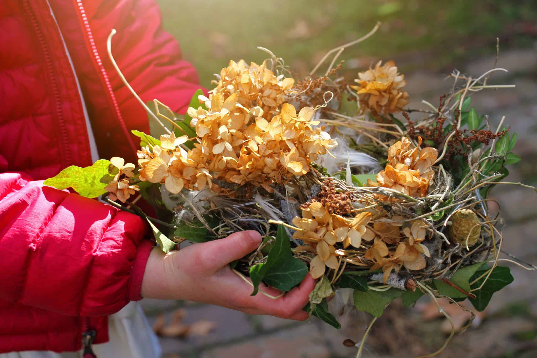 Outdoor STEAM activities for kids - Engineering a bird's nest